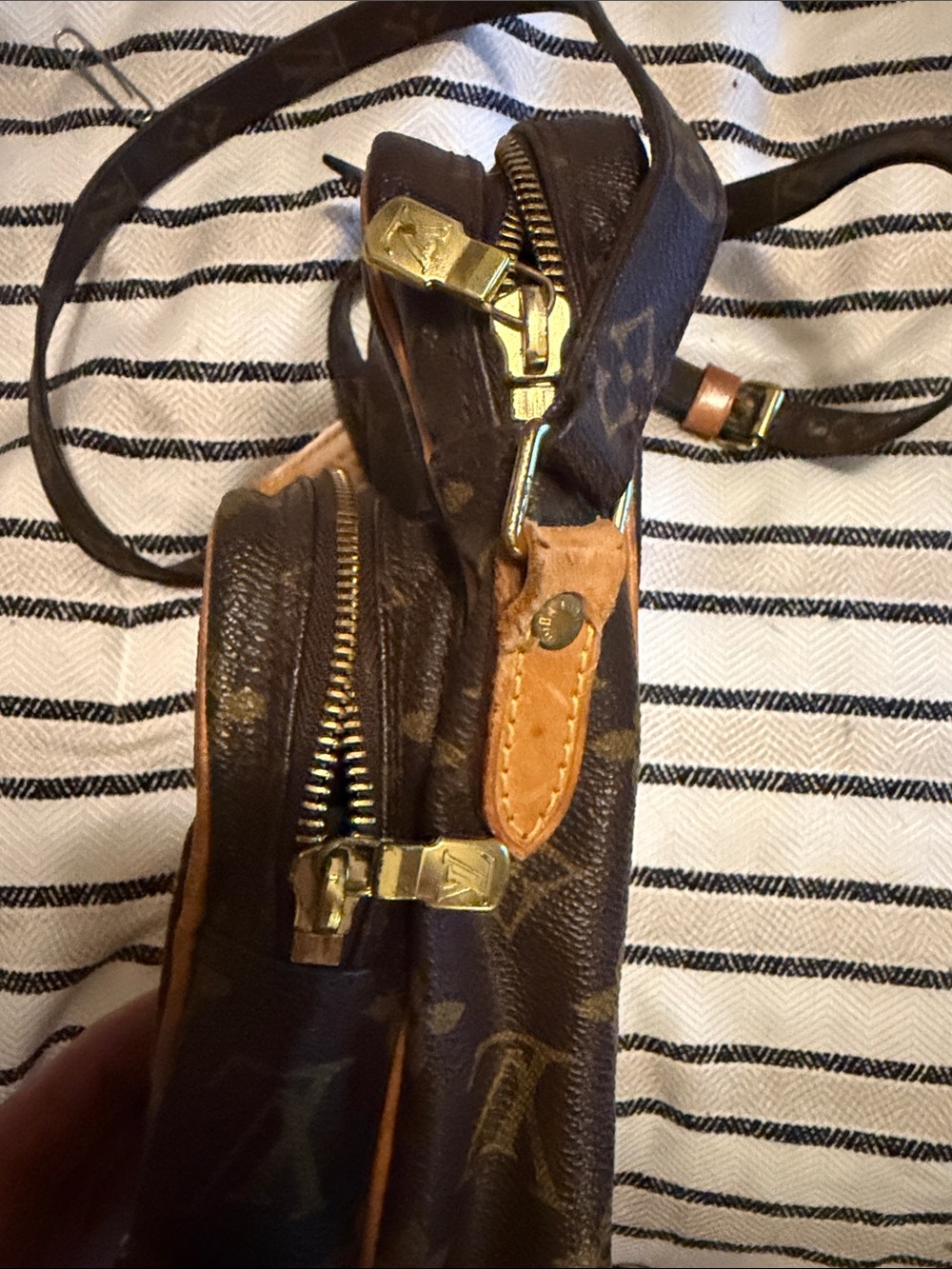 Louis Vuitton Amazon Crossbody Bag - Picture 2 of 7
